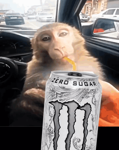 Person Holding Juiced Monster Can