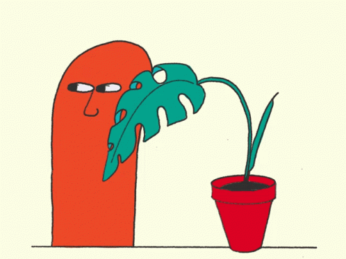 Person Holding Leaf Over Potted Plant
