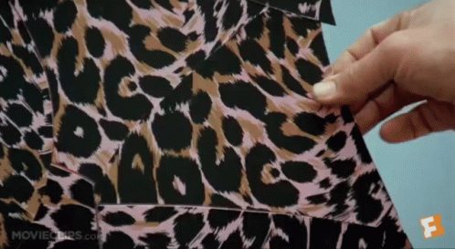 Person Holding Leopard Print Fabric