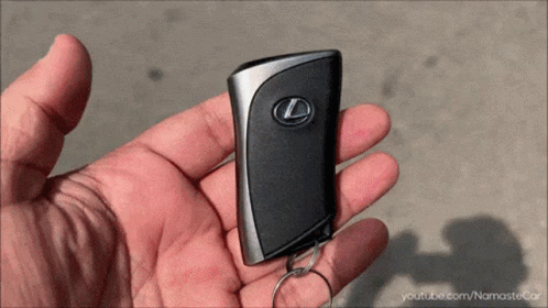 Person Holding Lexus Car Key