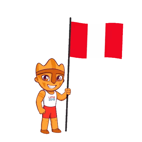 Person Holding Lima 2019 Flag