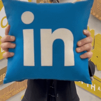 Person Holding LinkedIn Pillow GIF