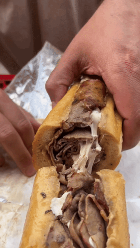 Person Holding Meat Sandwich