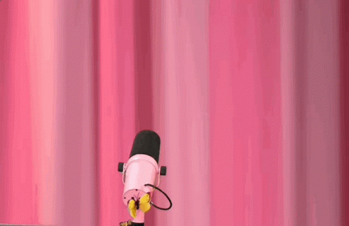Person Holding Microphone In Front Of Pink Curtain GIF