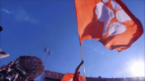 Person Holding Orange Flag With C