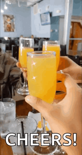 Person Holding Orange Juice Cheers GIF