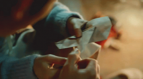 Person Holding Paper