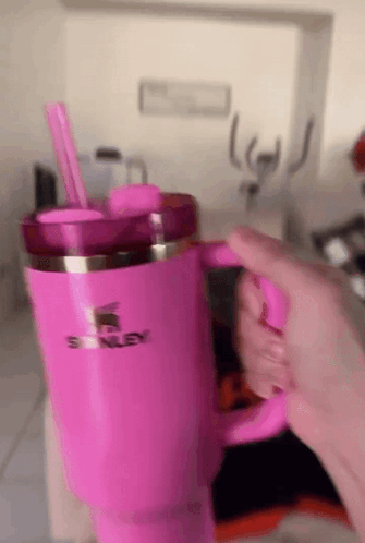 Person Holding Pink Stanley Mug With Pink Straw