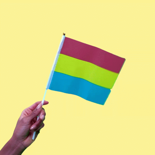 Person Holding Pink Yellow Blue Flag