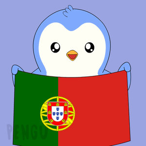 Person Holding Portuguese Flag On Soccer Field Number 1 GIF