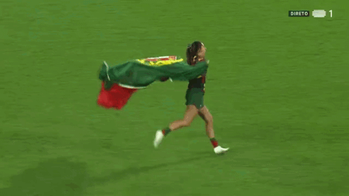 Person Holding Portuguese Flag Soccer Field 1 GIF