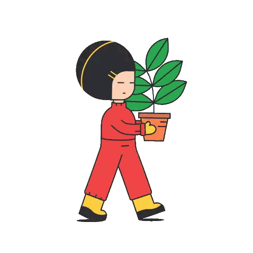 Person Holding Potted Plant