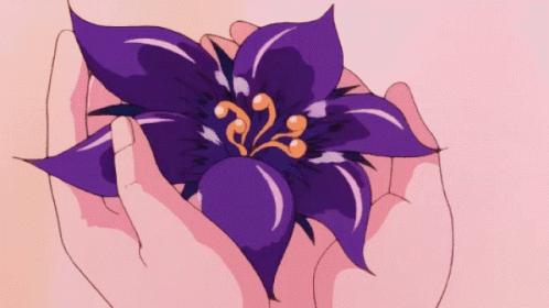 Person Holding Purple Flower With Number 32