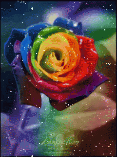 Person Holding Rainbow Rose With Jackson