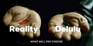 Person Holding Red and Black Pills Reality and Delulu