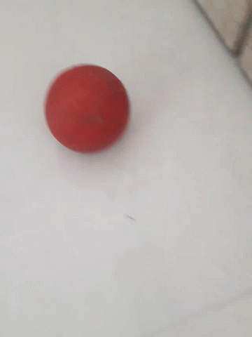 Person Holding Red Ball