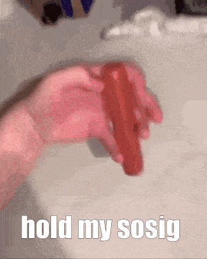 Person Holding Red Hot Dog Saying Hold My Sosig