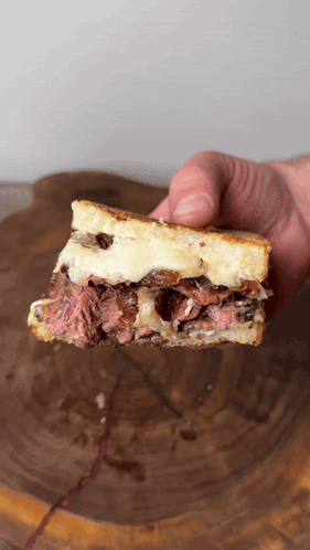 Person Holding Sandwich