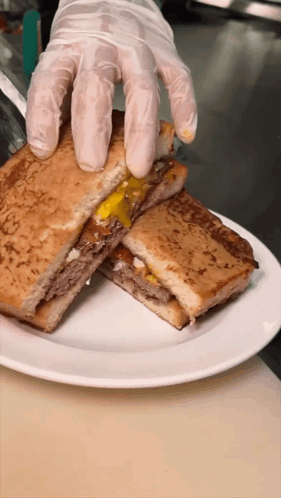 Person Holding Sandwich GIF