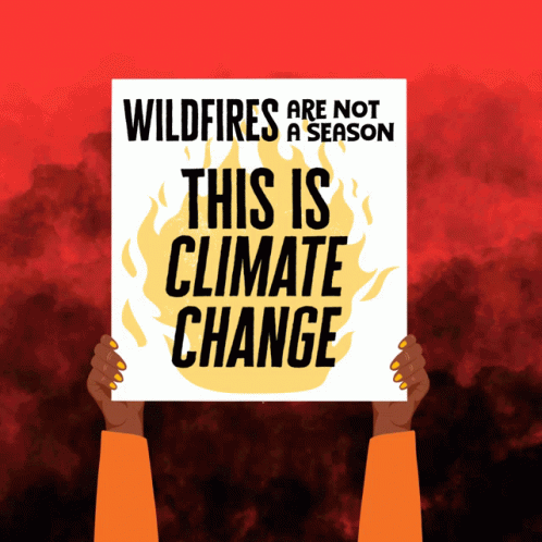 Person Holding Sign Wildfires Are Not a Season