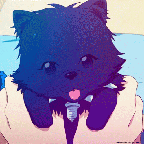 Person Holding Small Black Cat With Tongue Out GIF
