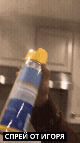 Person Holding Spray Bottle Saying Spray GIF