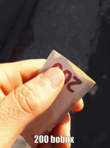Person Holding Stack of 20 Euro Bills