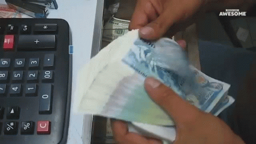 Person Holding Stack of Money