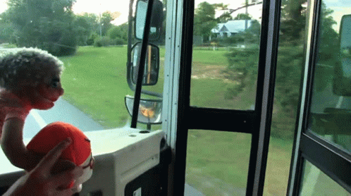 Person Holding Stuffed Animal at Window