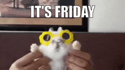 Person Holding Stuffed Animal Saying It's Friday