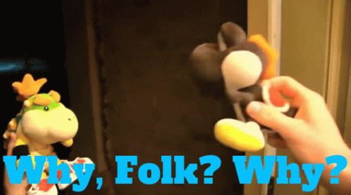 Person Holding Stuffed Animal Saying Why Folk Why