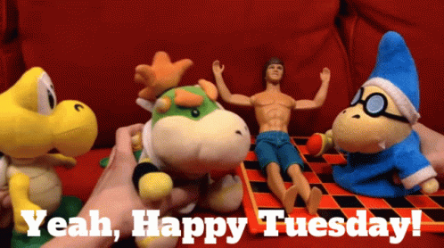 Person Holding Stuffed Animal Saying Yeah Happy Tuesday