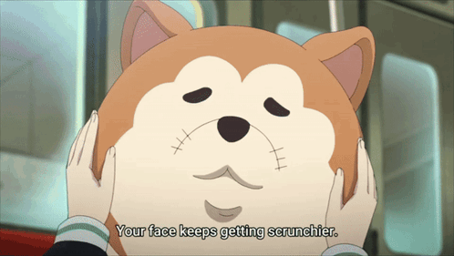 Person Holding Stuffed Animal Your Face Keeps Getting Scrunchier