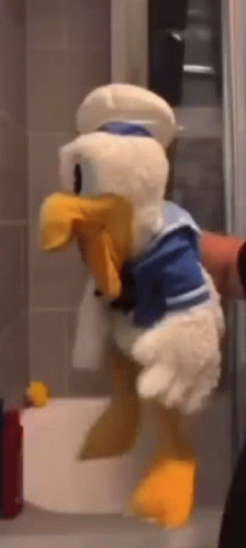 Person Holding Stuffed Donald Duck