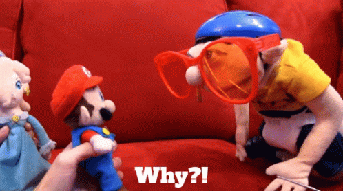 Person Holding Stuffed Mario With Why Sign