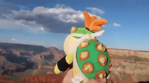 Person Holding Stuffed Turtle