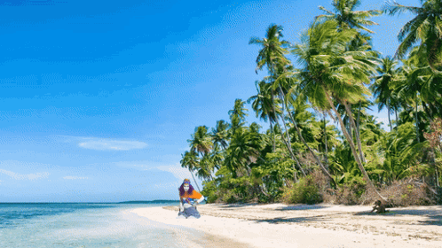 Person Holding Surfboard on Tropical Beach