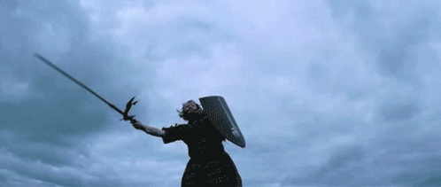 Person Holding Sword and Shield