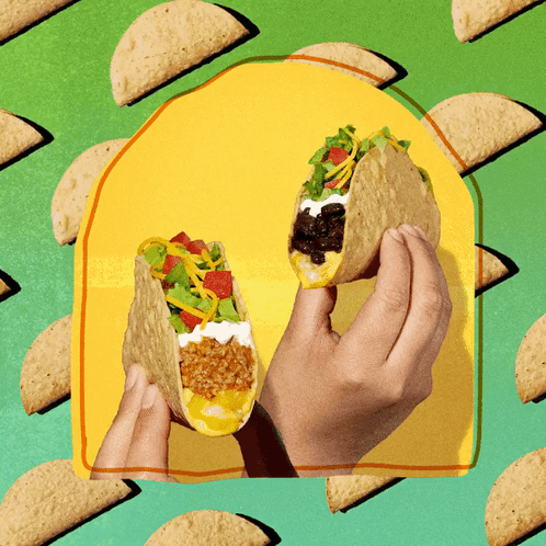 Person Holding Taco