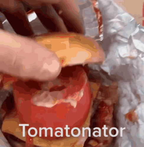 Person Holding Tomato With Tomatonator
