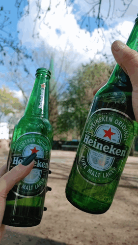 Person Holding Two Heineken Bottles