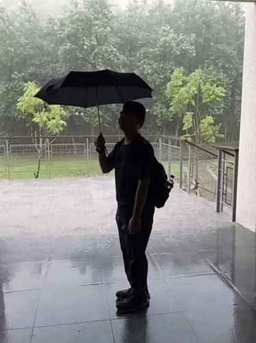 Person Holding Umbrella in Rain