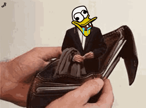 Person Holding Wallet With Cartoon Duck GIF