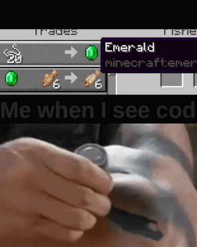 Person Holding Watch Next To Minecraft Screen Saying Emerald GIF