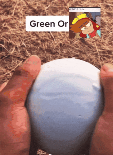 Person Holding White Ball With Cartoon Character Green Or