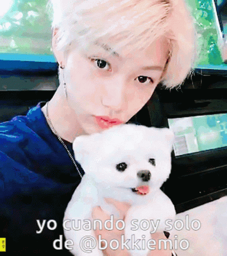 Person Holding White Bear Yo Cuando Soy Solo De @bokkiemio
