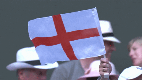 Person Holding White Flag With Red Cross GIF