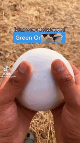 Person Holding White Green Yellow Egg