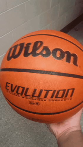 Person Holding Wilson Evolution Basketball