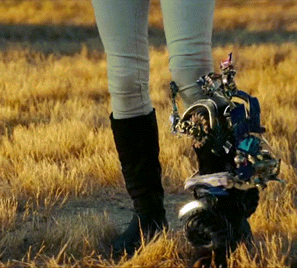 Person in Black Boots Standing in Tall Grass